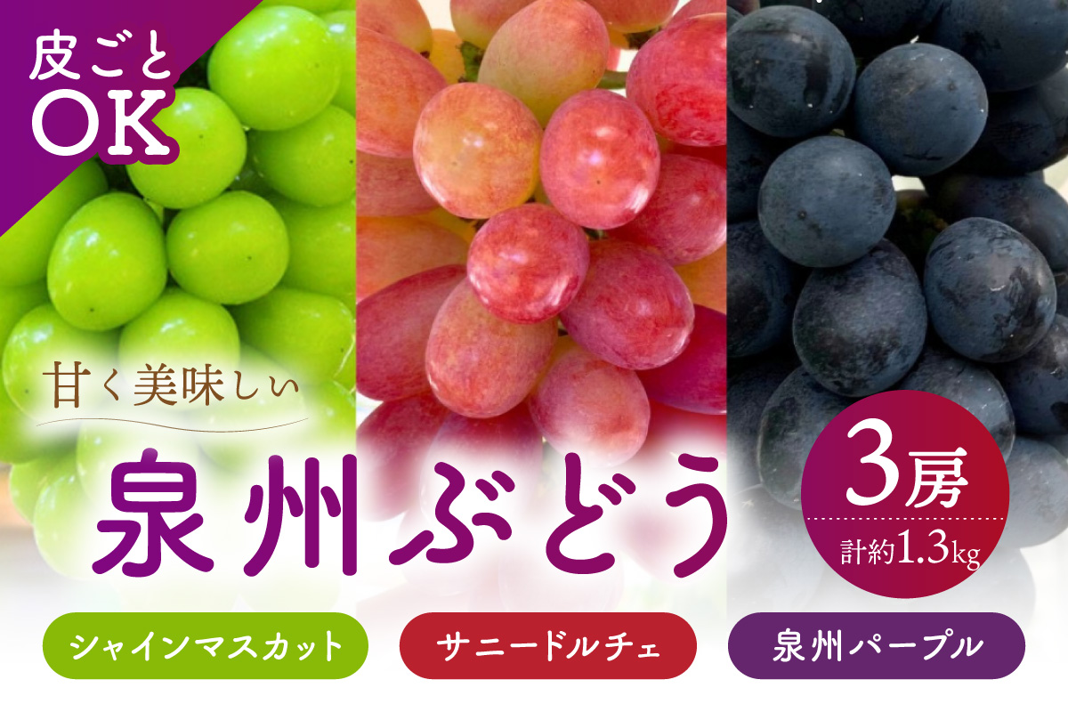 æ³å·ã¶ã©ããç®ããšOKãæ³å·ããŒãã« ã·ã£ã€ã³ãã¹ã«ãã ãµããŒãã«ãã§ å1æ¿ã»ããã065C-004ã