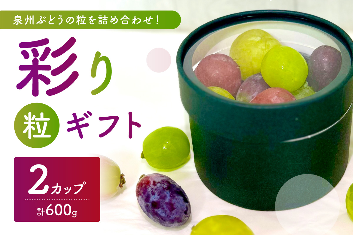泉州ぶどう【彩り粒ギフト】色とりどりのぶどうのギフト ー彩珠ー【065D-022】