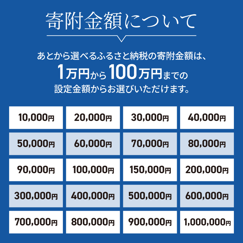 あとからセレクト【ふるさとギフト】40万円【119A-005】