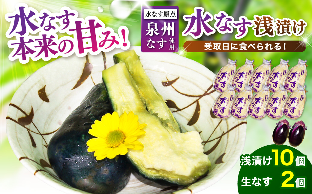泉州名物 水なす浅漬け 10個と生なす2個【配送不可地域：北海道・沖縄・離島】【014D-012】
