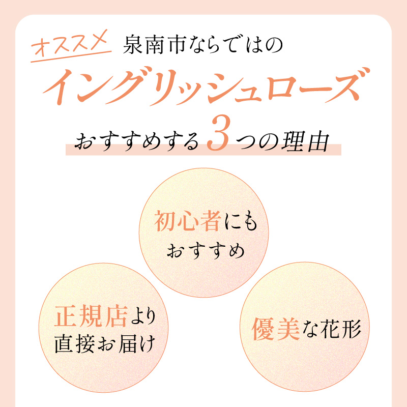 ãã€ã³ã°ãªãã·ã¥ããŒãºãããããã»ãªãŒã¹ãã³ ãã¹ã³ãã« 6Lé¢èïŒãã©å°çšè¥æä»ïŒã025D-049ã