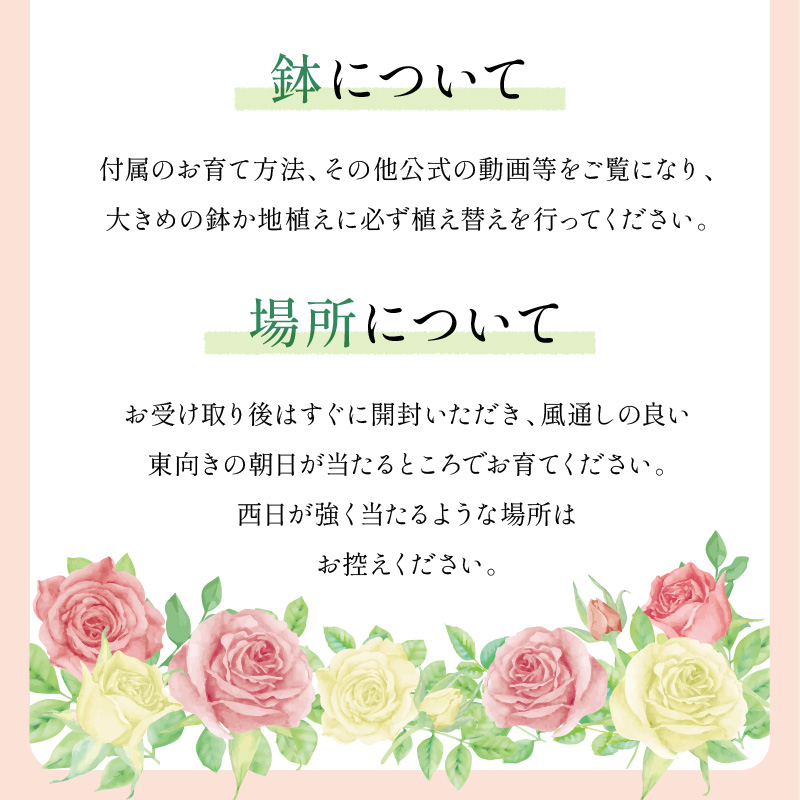 ãã€ã³ã°ãªãã·ã¥ããŒãºãããããã»ãªãŒã¹ãã³ ãã¹ã³ãã« 6Lé¢èïŒãã©å°çšè¥æä»ïŒã025D-049ã