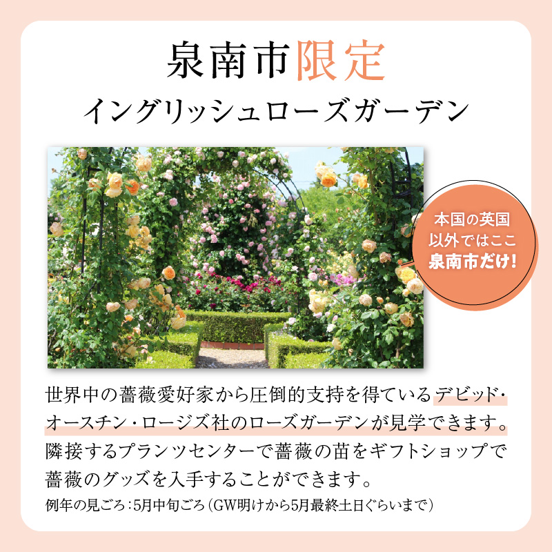 ãã€ã³ã°ãªãã·ã¥ããŒãºãããããã»ãªãŒã¹ãã³ ãã¹ã³ãã« 6Lé¢èïŒãã©å°çšè¥æä»ïŒã025D-049ã