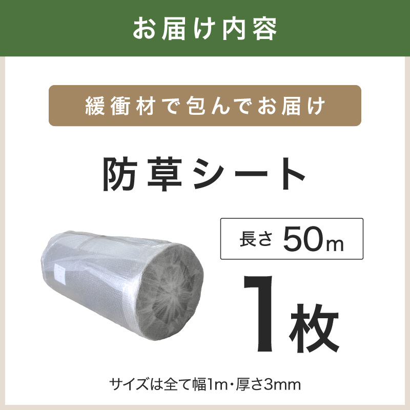 防草シート 1m×50m リバーシブルタイプ（緑×黒）【配送不可地域：北海道・沖縄・離島】 【030A-003】