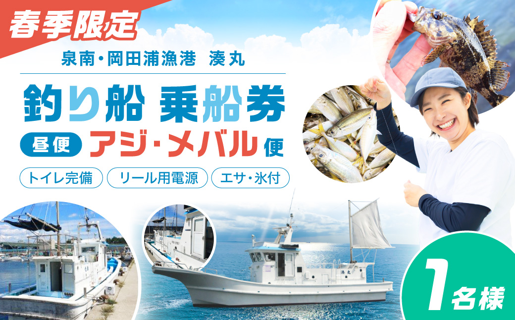 【泉南・岡田浦漁港】釣り船 湊丸 昼便 アジ・メバル便 1名様【049D-001】