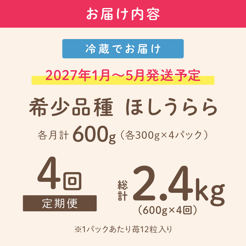 【2027年1月～5月発送予定】【糖度12〜15度の希少品種】いちご ほしうらら 約600g（約300g×2パック×1箱）4ヶ月定期便【配送不可地域：北海道・沖縄・離島】【121B-002-2027】