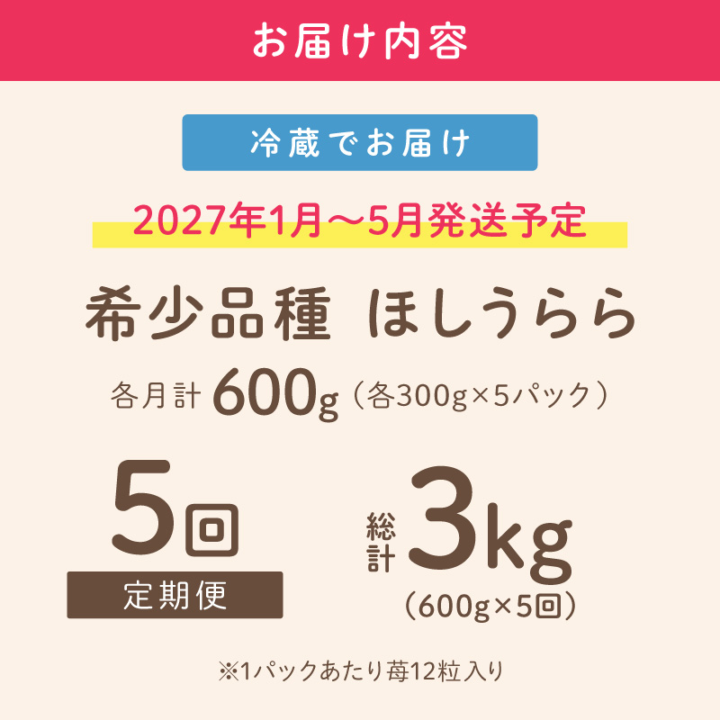 【2027年1月～5月発送予定】【糖度12〜15度の希少品種】いちご ほしうらら 約600g（約300g×2パック×1箱）5ヶ月定期便【配送不可地域：北海道・沖縄・離島】【121B-003-2027】