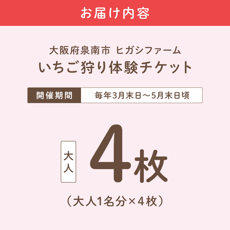 【見つけて、摘んで、食べて！】希少いちご「ほしうらら」を摘みに行こう いちご狩り 体験チケット（大人4名）【121C-001】