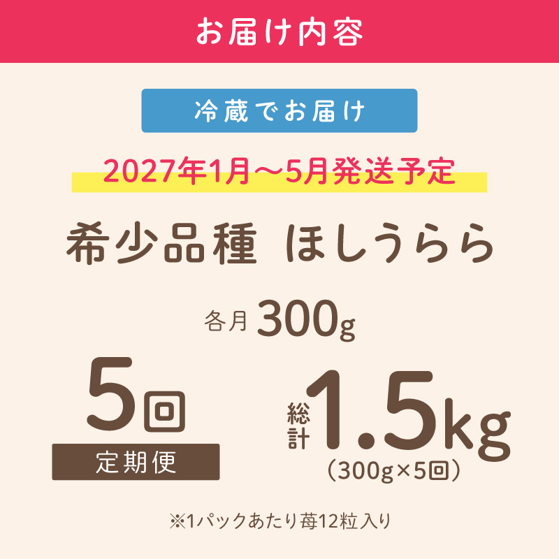【2027年1月～5月発送予定】【糖度12〜15度の希少品種】いちご  ほしうらら 約300g（約300g×1パック×1箱）5ヶ月定期便【配送不可地域：北海道・沖縄・離島】【121C-004-2027】