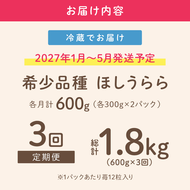 【2027年1月～5月発送予定】【糖度12〜15度の希少品種】いちご ほしうらら 約600g（約300g×2パック×1箱）3ヶ月定期便【配送不可地域：北海道・沖縄・離島】【121C-006-2027】
