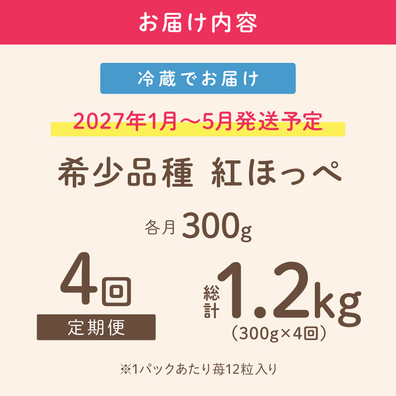 【2027年1月～5月発送予定】【いちご本来の甘酸っぱさを味わう】定番人気 紅ほっぺ 約300g（約300g×1パック×1箱）4ヶ月定期便【配送不可地域：北海道・沖縄・離島】【121C-008-2027】