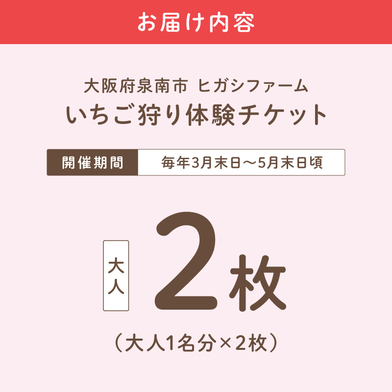 【見つけて、摘んで、食べて！】希少いちご「ほしうらら」を摘みに行こう いちご狩り 体験チケット（大人2名）【121D-001】