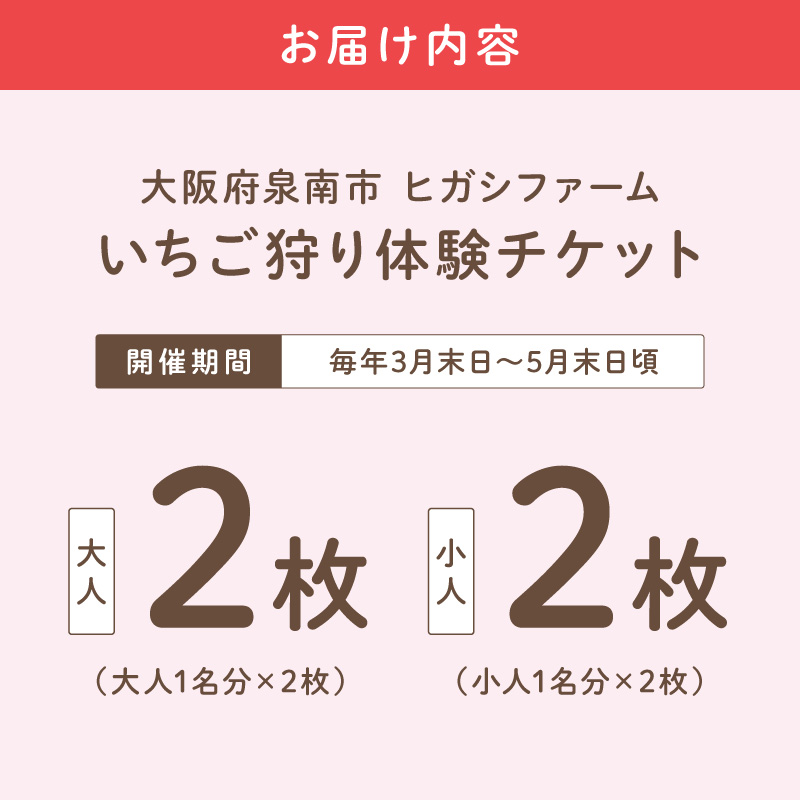 【見つけて、摘んで、食べて！】希少いちご「ほしうらら」を摘みに行こう いちご狩り 体験チケット（大人2名・小人2名）【121D-002】