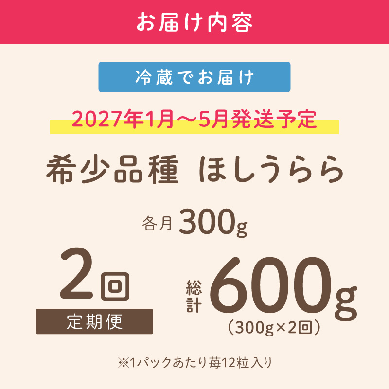 【2027年1月～5月発送予定】【糖度12〜15度の希少品種】いちご ほしうらら 約300g（約300g×1パック× 1箱）2ヶ月定期便【配送不可地域：北海道・沖縄・離島】【121D-004-2027】