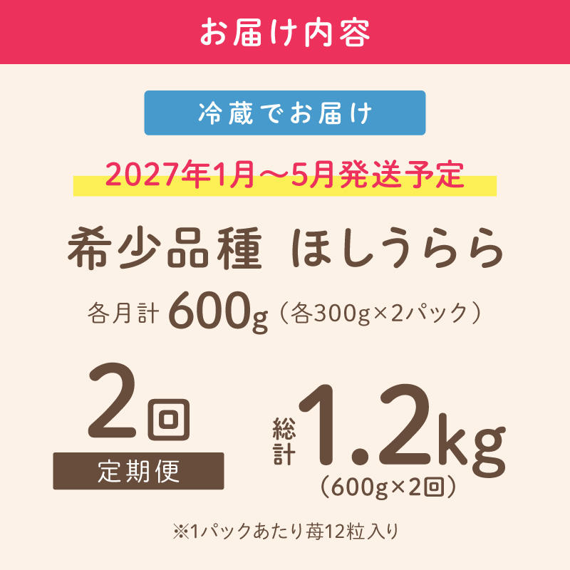 【2027年1月～5月発送予定】【糖度12〜15度の希少品種】いちご  ほしうらら 約600g（約300g×2パック×1箱）2ヶ月定期便【配送不可地域：北海道・沖縄・離島】【121D-007-2027】