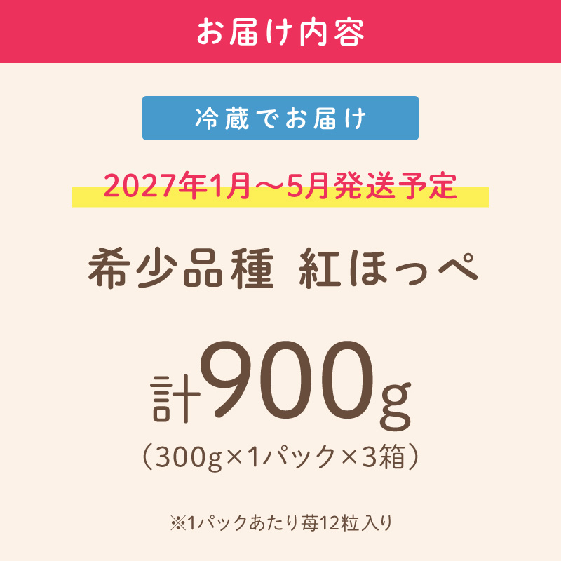 【2027年1月～5月発送予定】【いちご本来の甘酸っぱさを味わう】定番人気 紅ほっぺ 約900g（約300g×1パック×3箱）【配送不可地域：北海道・沖縄・離島】【121D-008-2027】