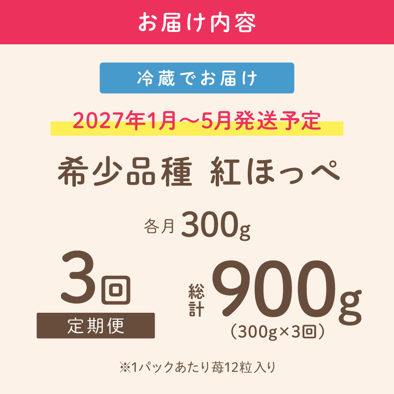 【2027年1月～5月発送予定】【いちご本来の甘酸っぱさを味わう】定番人気 紅ほっぺ 約300g（約300g×1パック×1箱）3ヶ月定期便【配送不可地域：北海道・沖縄・離島】【121D-010-2027】