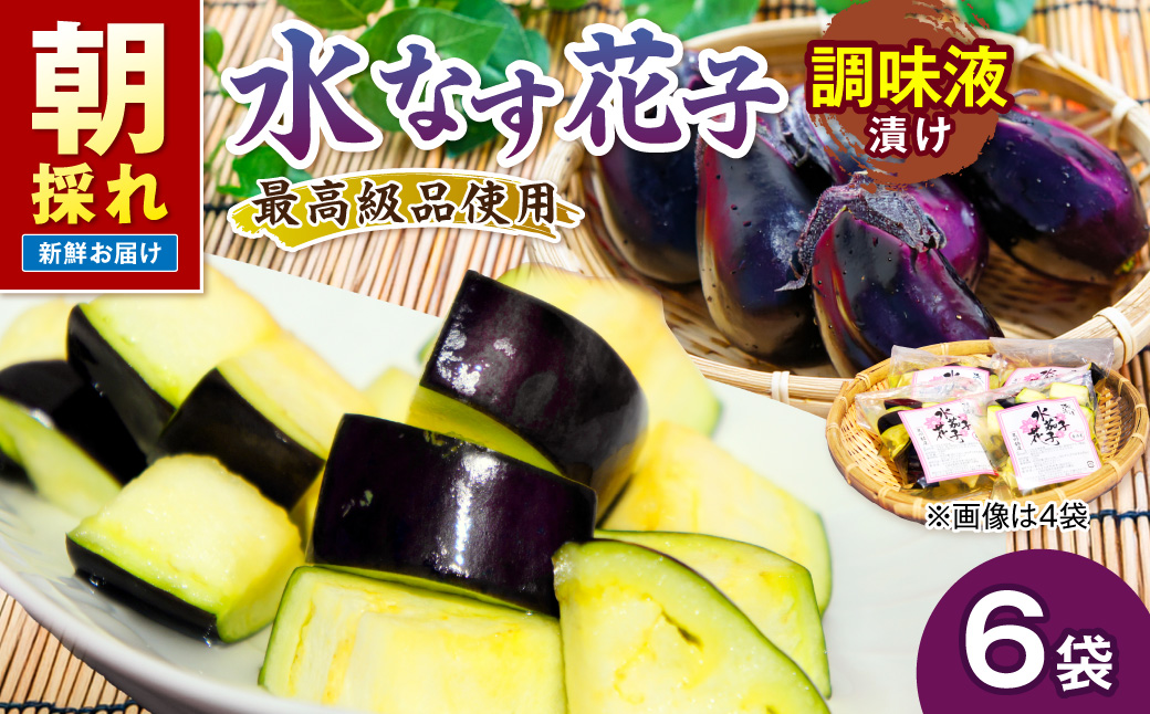 泉南銘産 水なす調味液漬け 水なす花子 6袋【042D-015】
