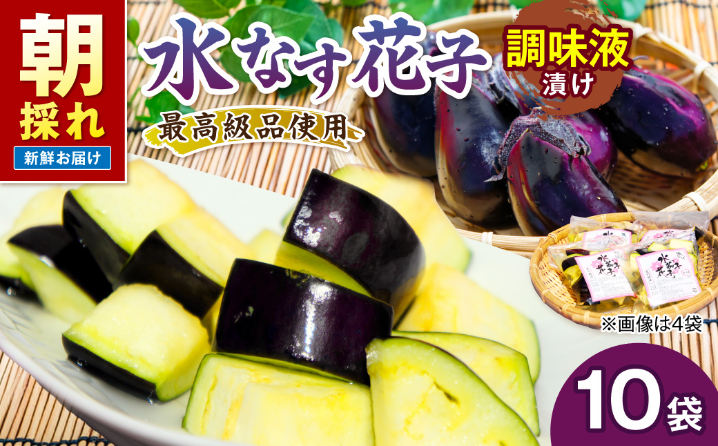 泉南銘産 水なす調味液漬け 水なす花子 10袋【042D-021】