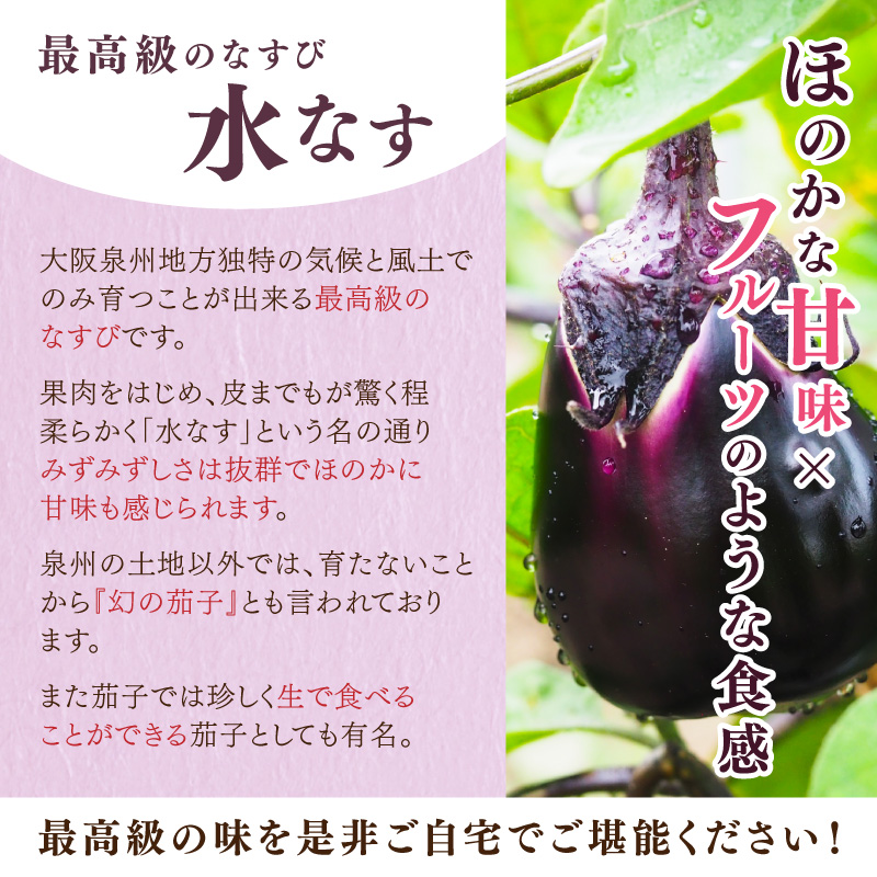 泉南銘産 水なす調味液漬け 水なす花子 6袋【042D-015】