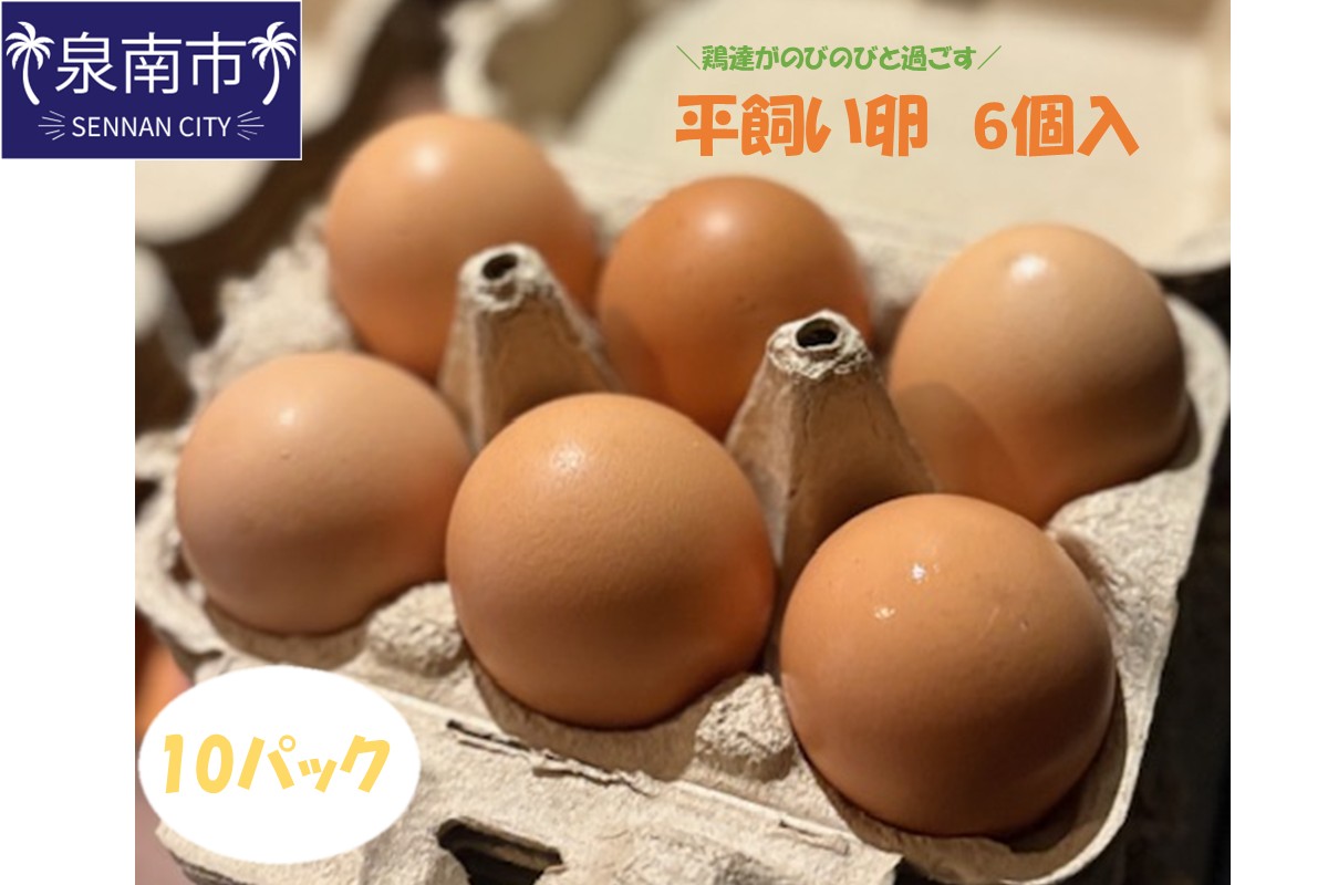 とまり木ファームの平飼い卵（6個入×10パック）【124C-001】