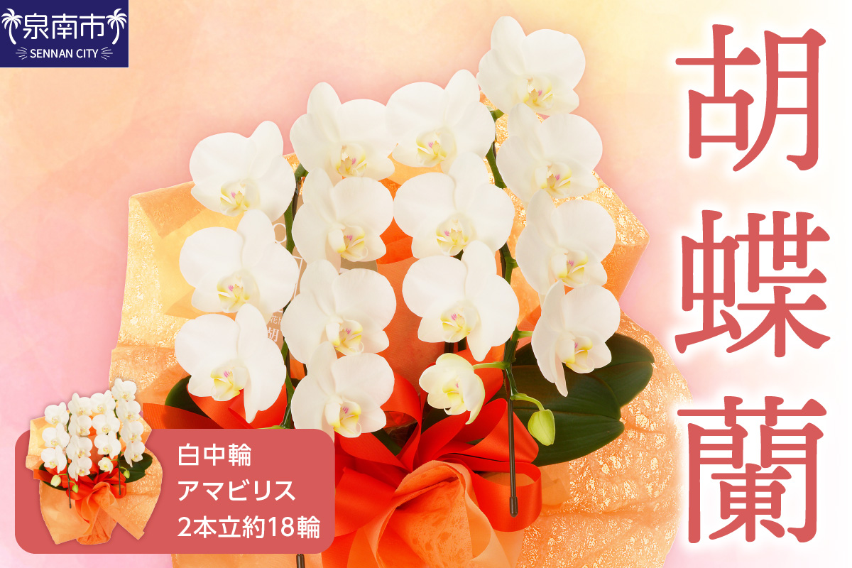 è¡è¶è çœäžèŒªã¢ãããªã¹2æ¬ç« 18茪ã008D-001ã