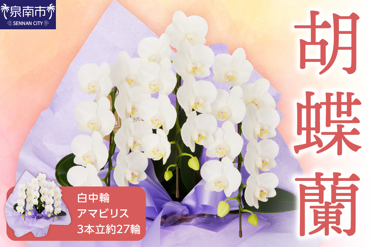 è¡è¶è çœäžèŒªã¢ãããªã¹3æ¬ç« 27茪ã008D-002ã