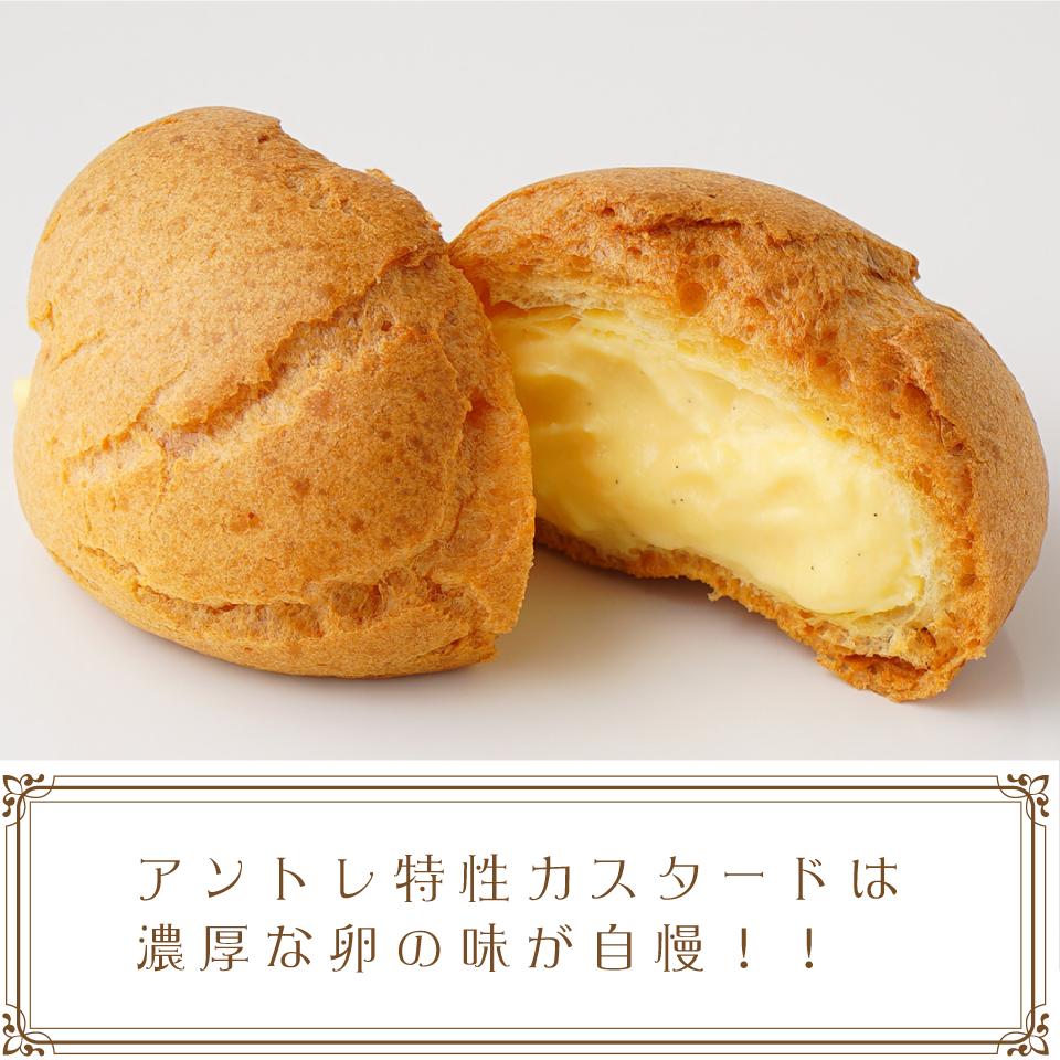 ã·ã¥ãŒã¯ãªãŒã 5åã»ããã074D-026ã