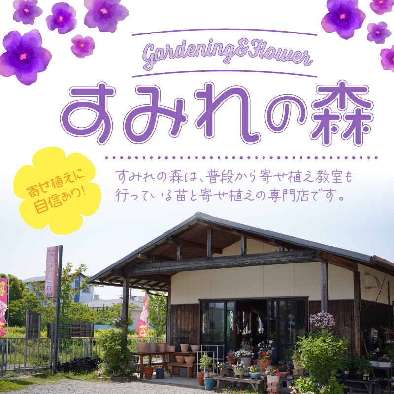 多肉植物の寄せ植え 30cm鉢【005D-008】