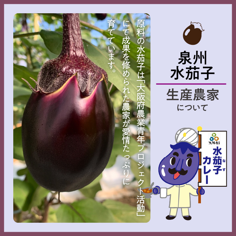 大阪産（おおさかもん）泉州水なすカレー 12箱 【御守つき】（レトルト 常温 簡単調理 レトルト食品 レトルトカレー かれー カレー カレールウ カレールウセット カレールー カレールーセット 人気カレー おすすめ 人気 泉南市 水茄子 なす）【041D-012】