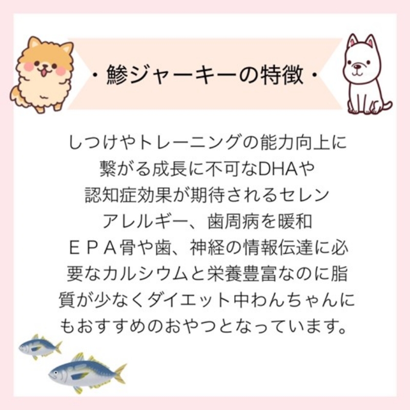 ペットフード研究所 国産無添加 あじジャーキー 200g【087D-059】
