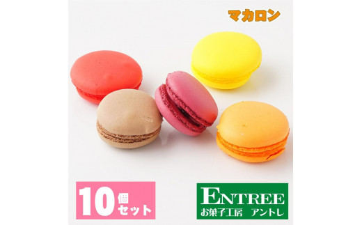 マカロン10個セット【074D-029】