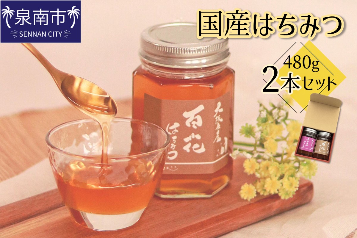 国産はちみつ480g 2本セット【配送不可地域：北海道・沖縄・離島】【090D-002】