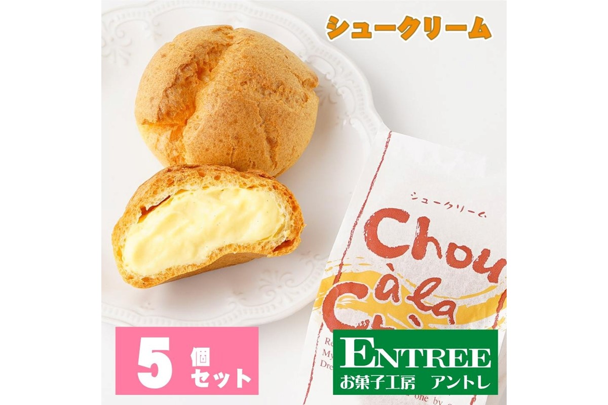 シュークリーム5個セット【074D-026】
