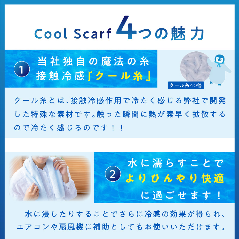 ã¯ãŒã«ç³ž(R)䜿çšã®æ¶Œæãã€ã«ããã©ãŒåè²2æã»ãããææãCLSR-100ã011E-031ã