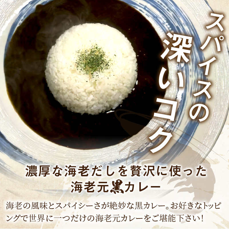 濃厚海老出汁 海老元カレー【黒】（中辛）3個セット（レトルト 常温 簡単調理 レトルト食品 レトルトカレー かれー カレーセット セット カレー 人気カレー 詰め合わせ 加工食品 お手軽 おすすめ 人気 泉南市 海老だし 濃厚海老だし）【078E-013】