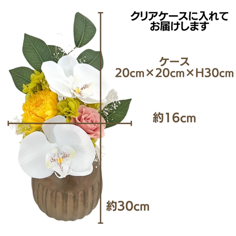 繝励Μ繧カ繝シ繝悶ラ繝輔Λ繝ッ繝シ縲後¥繧阪′縺ュ縲榊柱繝「繝繝ウ繧「繝ャ繝ウ繧ク 繧ッ繝ェ繧「繧ア繝シ繧ケ莉倥″縲023D-009縲