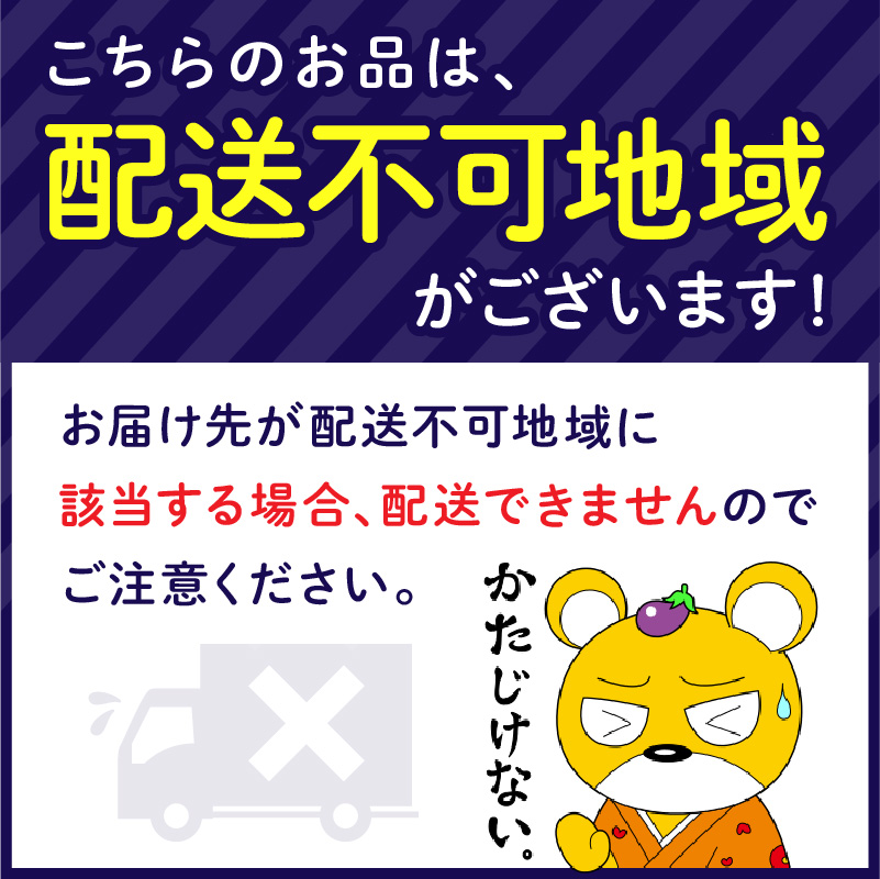 【泉州タオル】吸水力と肌触りが自慢のデイリーユースバスタオル 4枚 タオル バスタオル 泉州バスタオル バスタオルセット 国産タオル 人気タオル 泉州タオル【配送不可地域：北海道・沖縄・離島】【039D-251】
