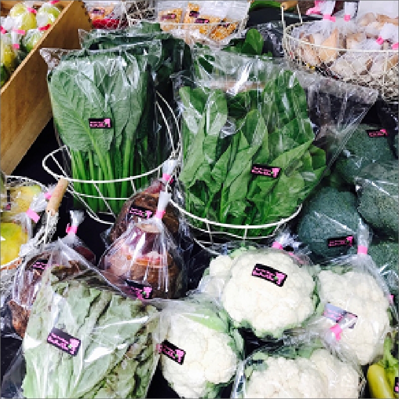 農業姉妹がこだわって栽培！旬の厳選野菜8種 半年定期便【024B-007】