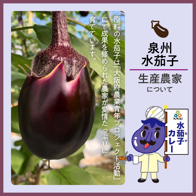 大阪産（おおさかもん）泉州水なすカレー 4箱（レトルト 常温 簡単調理 レトルト食品 レトルトカレー かれー カレー カレールウ カレールウセット カレールー カレールーセット 人気カレー おすすめ 人気 泉南市 水茄子 茄子 なす）【041E-006】