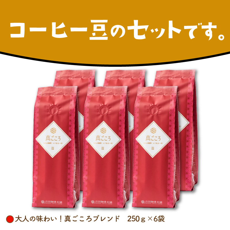真ごころブレンド 250g×6袋／豆【配送不可地域：北海道・沖縄・離島】【010D-080】
