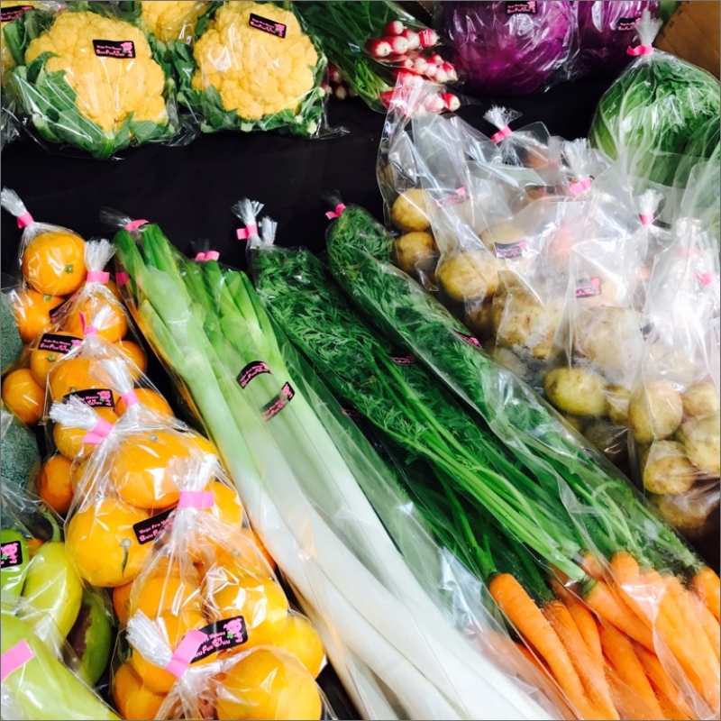 農業姉妹がこだわって栽培！旬の厳選野菜8種 半年定期便【024B-007】