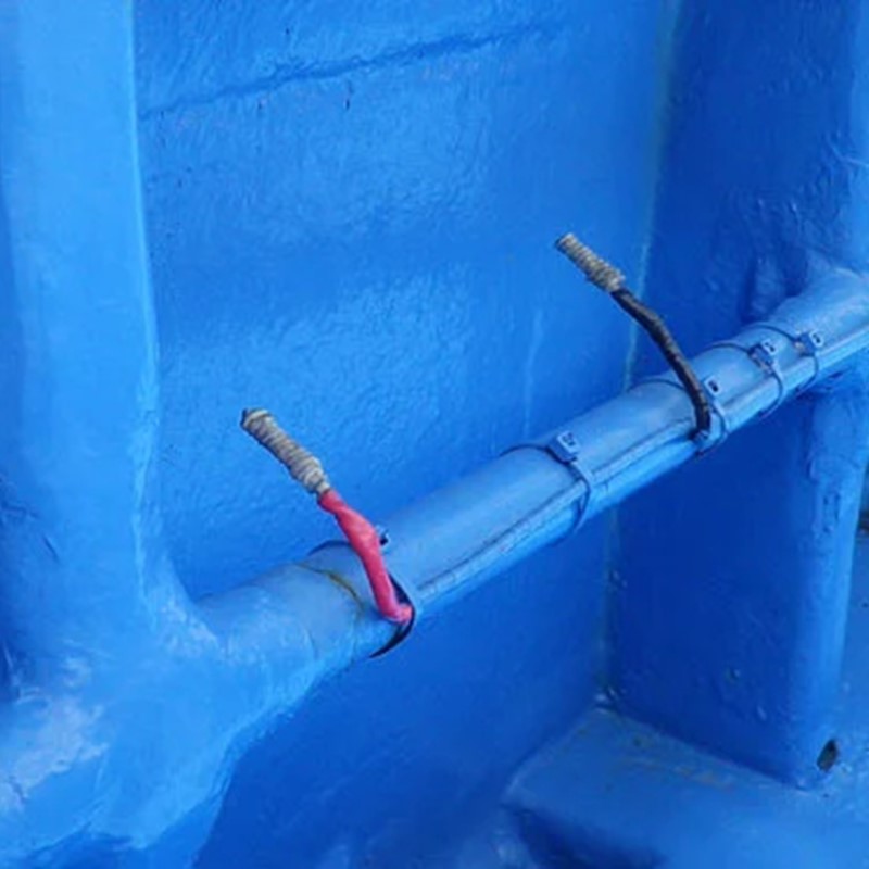 【泉南・樽井漁港】釣り船八千代丸 ふぐ釣り体験 貸切船（期間限定 秋頃/午後便） 団体人数8名様まで お土産付き【045A-001】