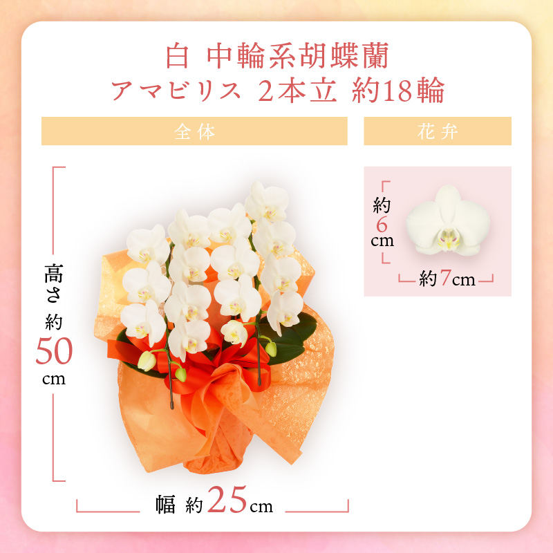 è¡è¶è çœäžèŒªã¢ãããªã¹2æ¬ç« 18茪ã008D-001ã