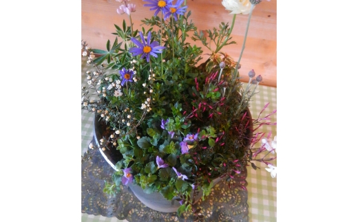 花の寄せ植え　35cm鉢【005C-006】