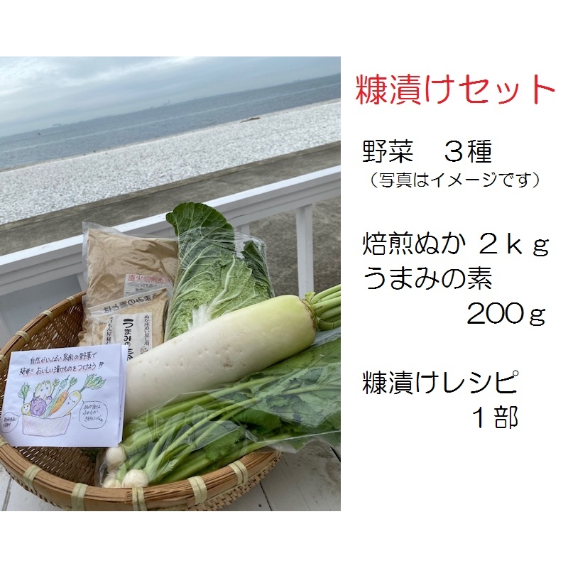 野菜がおいしく漬かる糠漬けセット【015E-010】