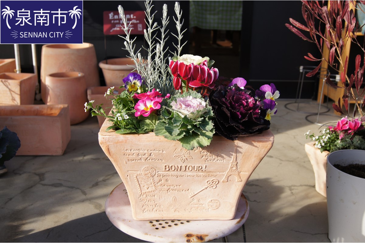 季節の花の寄せ植え 35cm【005C-007】