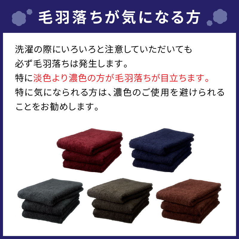 【泉州タオル】吸水力と肌触りが自慢のデイリーユースハンドタオル ベージュ10枚 タオル ハンドタオル デイリータオル 泉州ハンドタオル タオルセット 国産タオル 人気タオル 泉州タオル【配送不可地域：北海道・沖縄・離島】【039E-075】