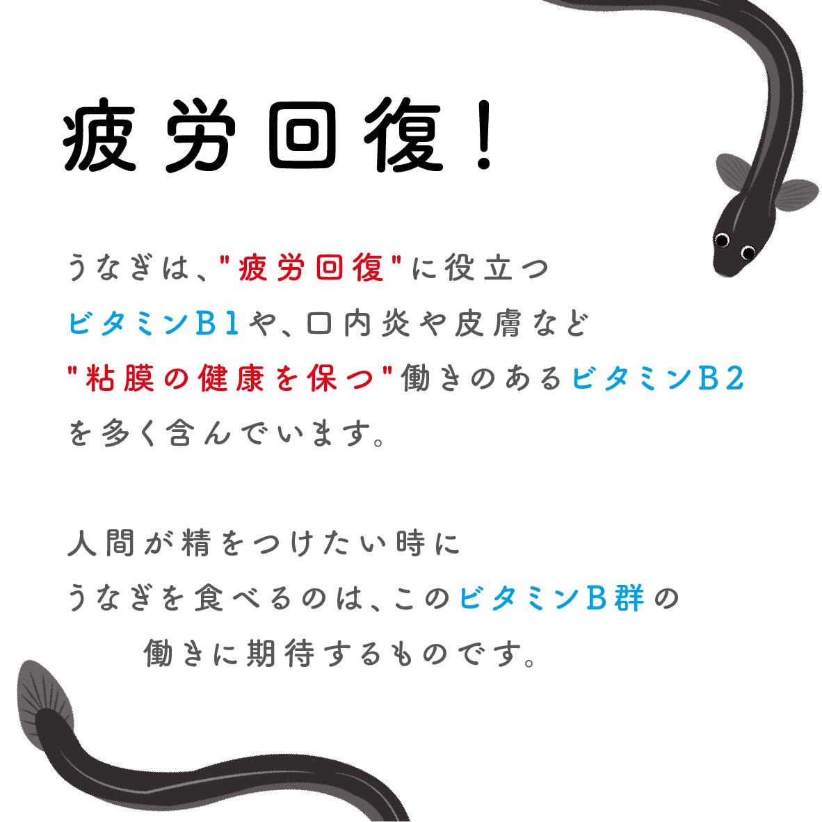 ãããããŒãç ç©¶æ é°»é 500gã087D-016ã