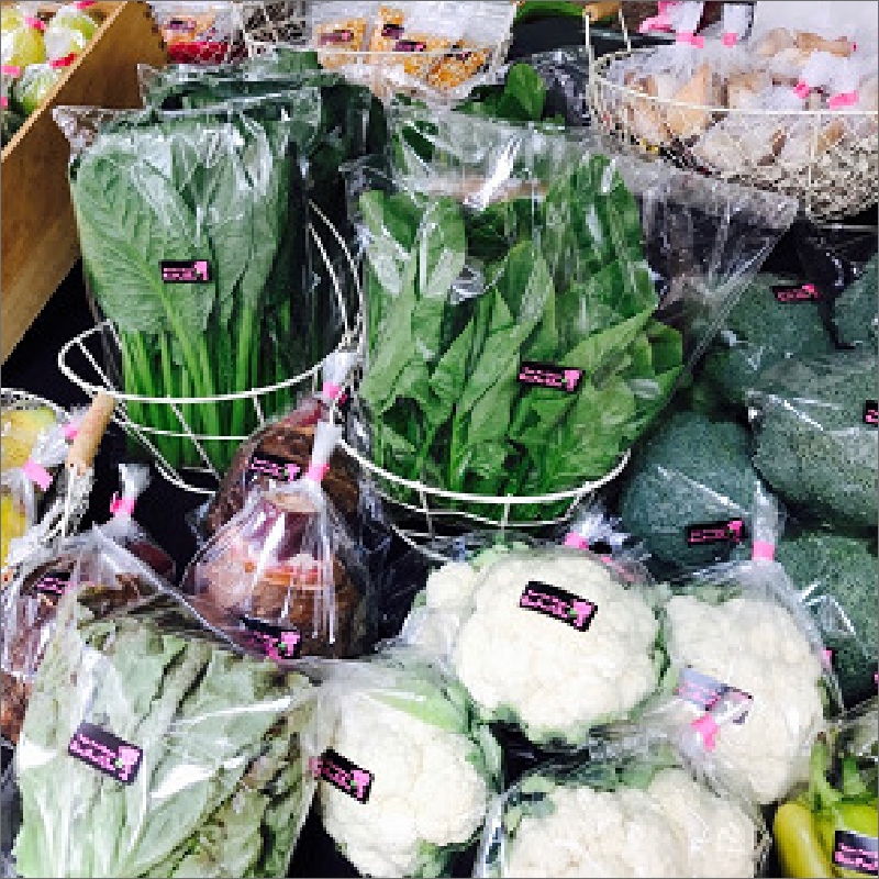 農業姉妹がこだわって栽培！旬の野菜詰め合わせ8種 1年定期便【024A-019】